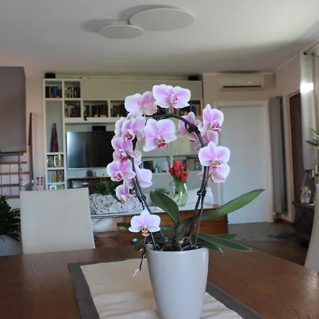 Bed & Breakfast Due Lune