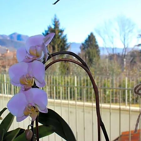 Due Lune Bed & Breakfast 3*