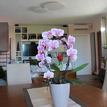 Bed & Breakfast Due Lune Almenno San Salvatore
