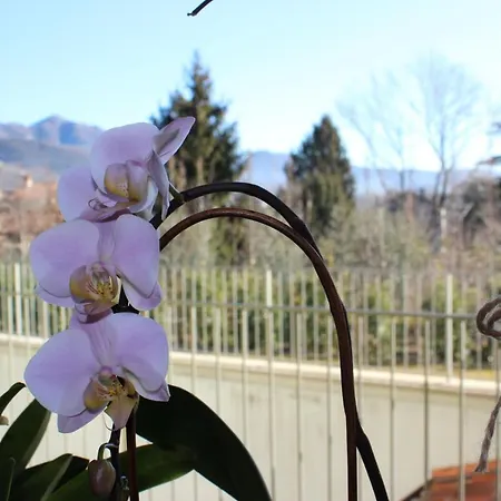 Due Lune Bed & Breakfast Almenno San Salvatore